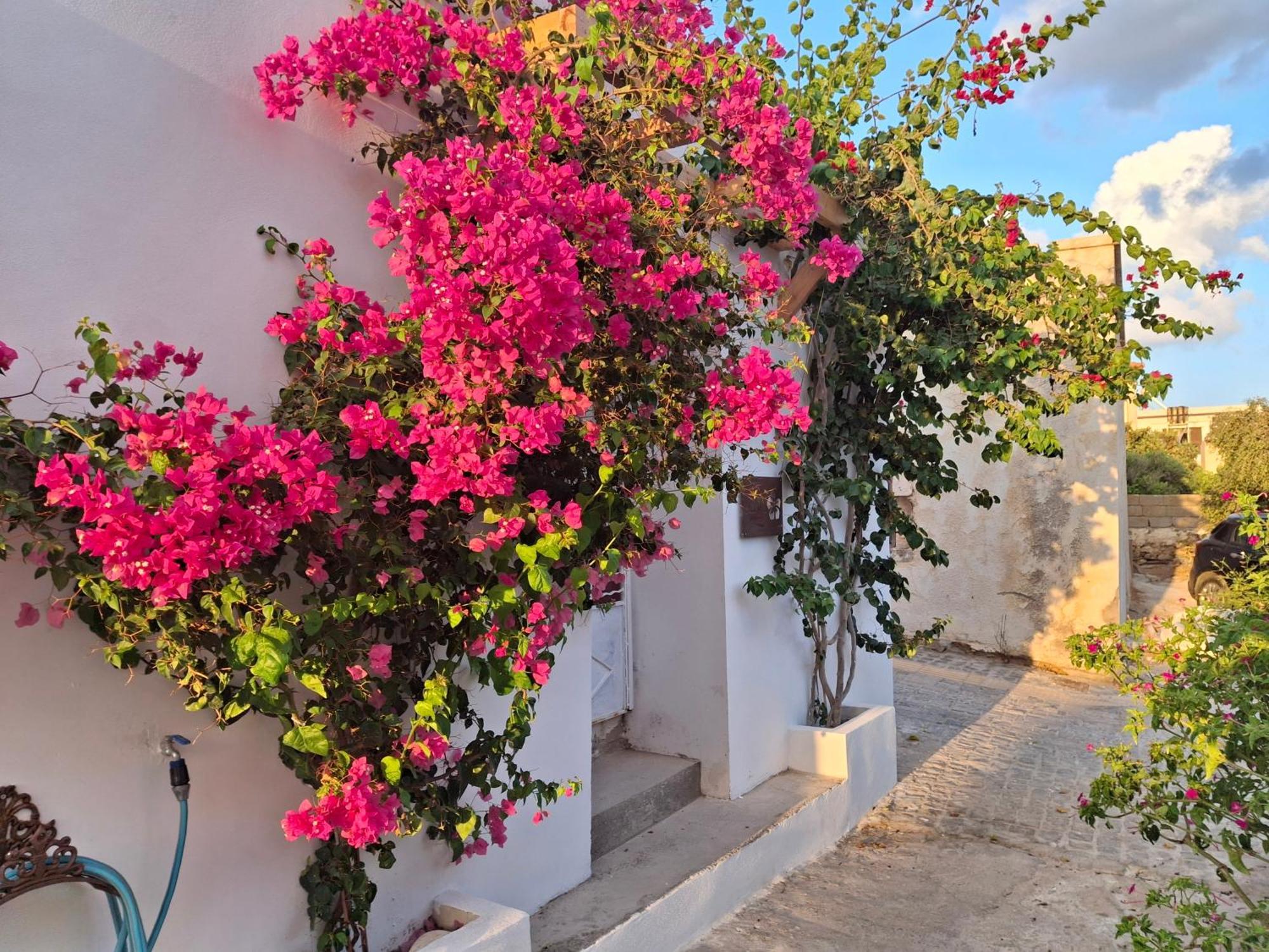 Apartmán Lilium House Palekastro Exteriér fotografie