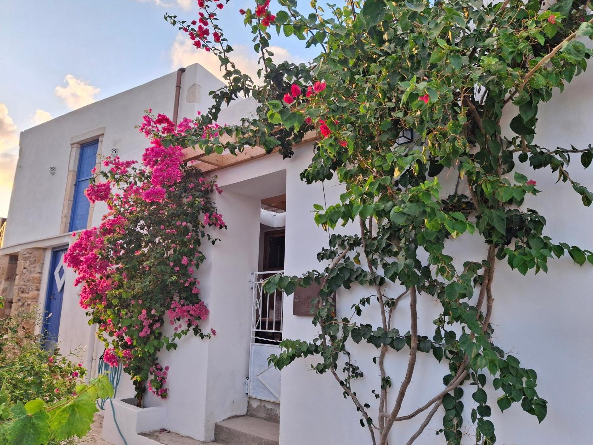 Apartmán Lilium House Palekastro Exteriér fotografie