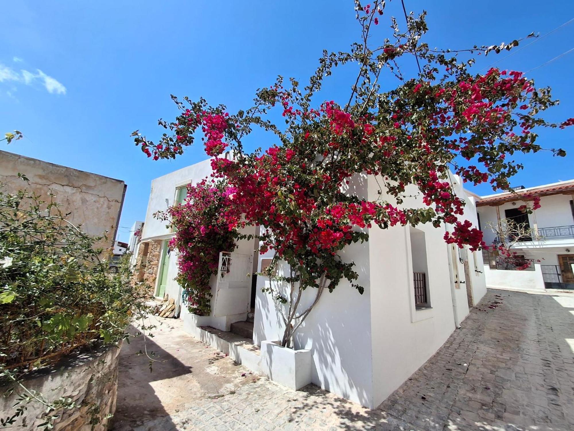 Apartmán Lilium House Palekastro Exteriér fotografie